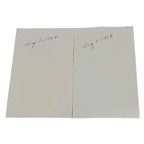 Vtg B&W Original Photo Found 1964 Siblings Hold Fluffy Puppy Snapshot Lot of 2 - Picture 4 of 6